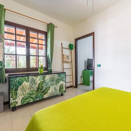 Jungle Apartment *