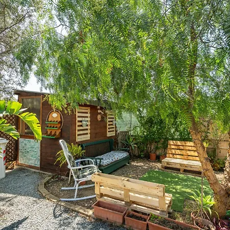 Jungle Apartment